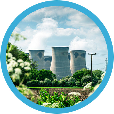Power plant in the distance behind flowers